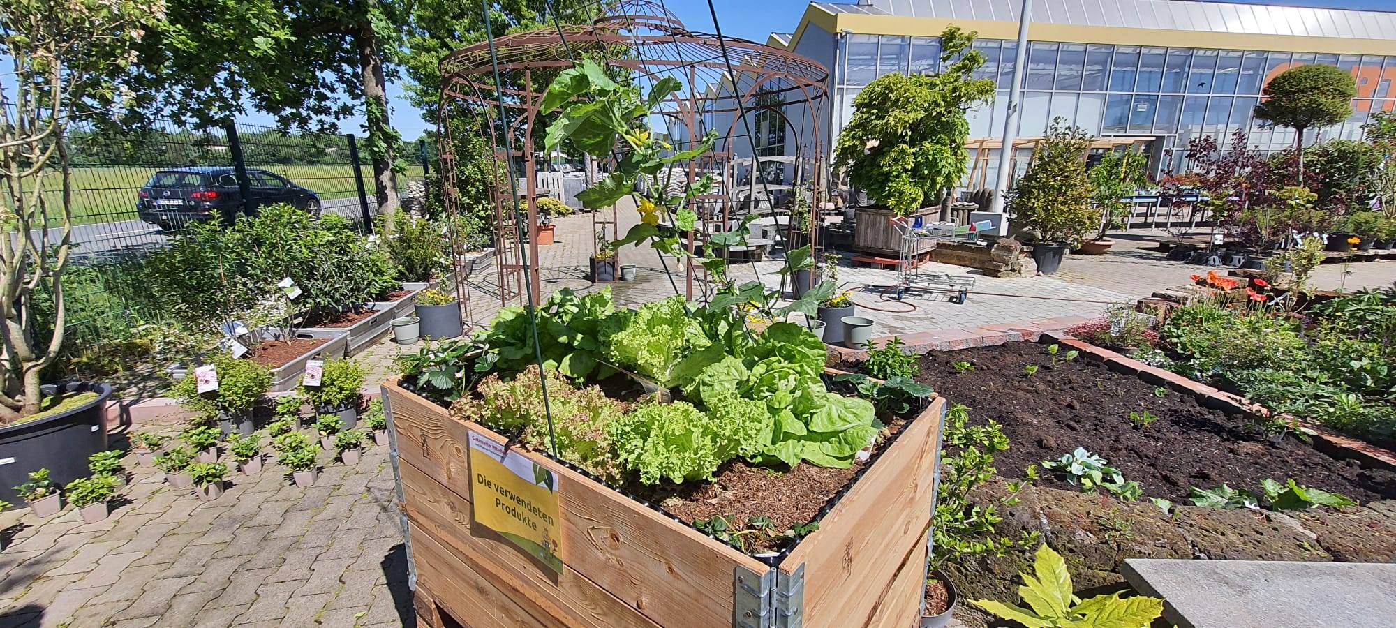 Der Antenne Unna-Garten: #09 Bewässerung