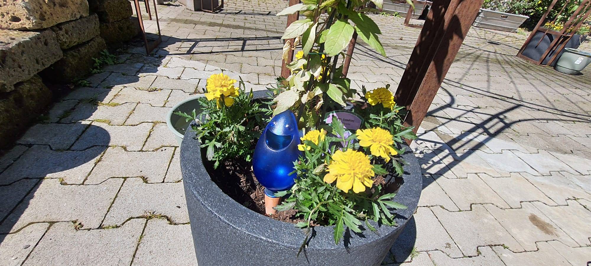 Der Antenne Unna-Garten: #09 Bewässerung