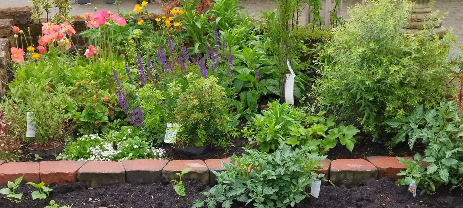 Der Antenne Unna-Garten: #10 Deko