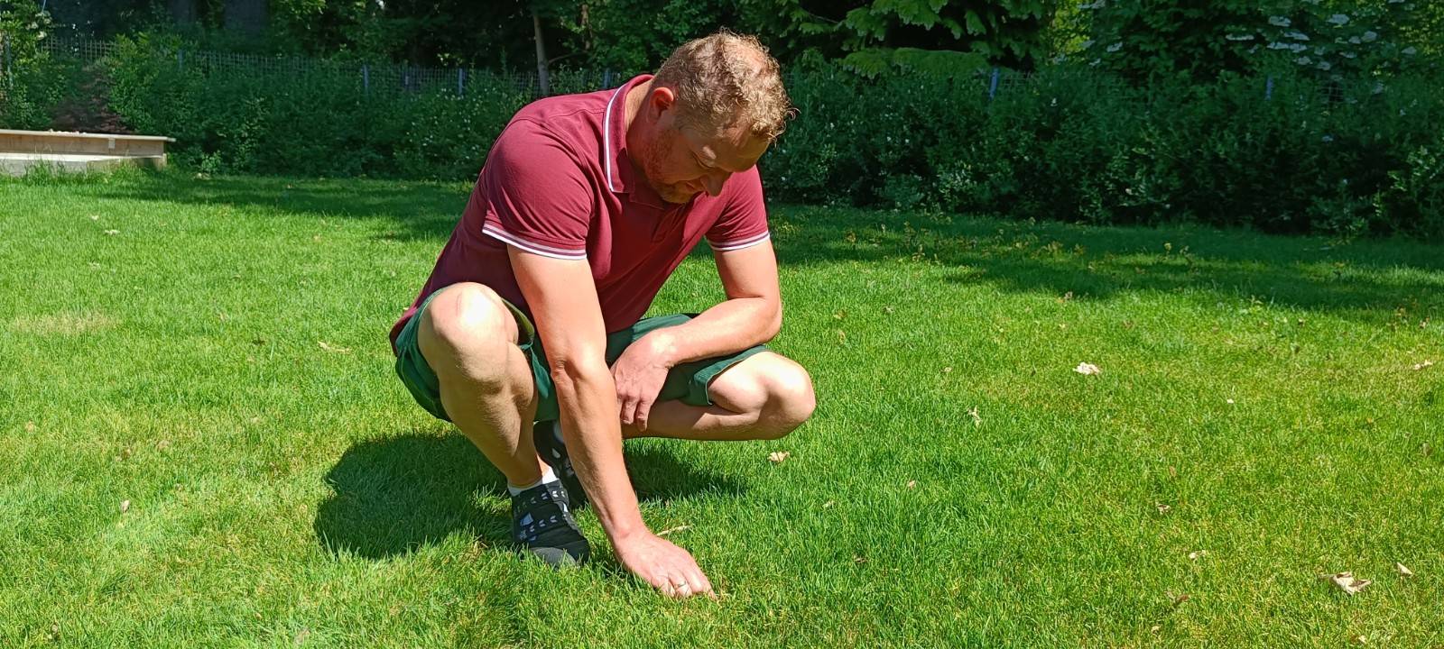 Der Antenne Unna-Garten: #11 Rasen