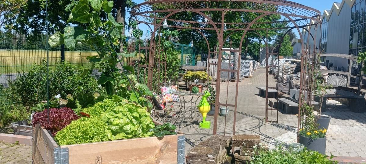 Der Antenne Unna-Garten: #11 Rasen