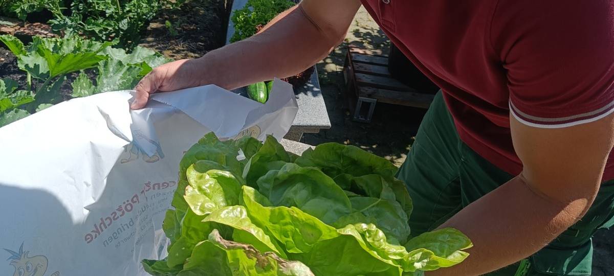 Der Antenne Unna-Garten: #11 Rasen