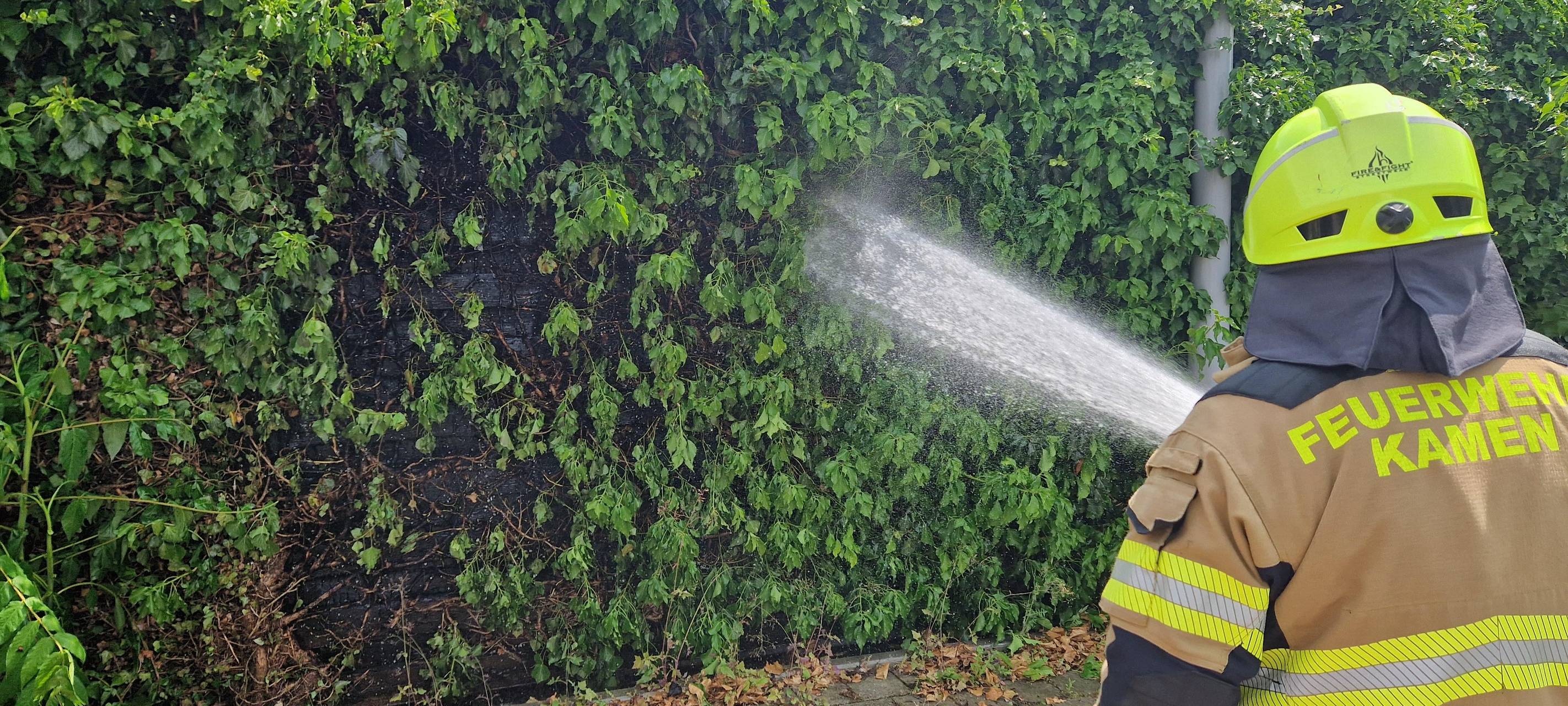 Die Feuerwehr Kamen löscht eine Hecke.