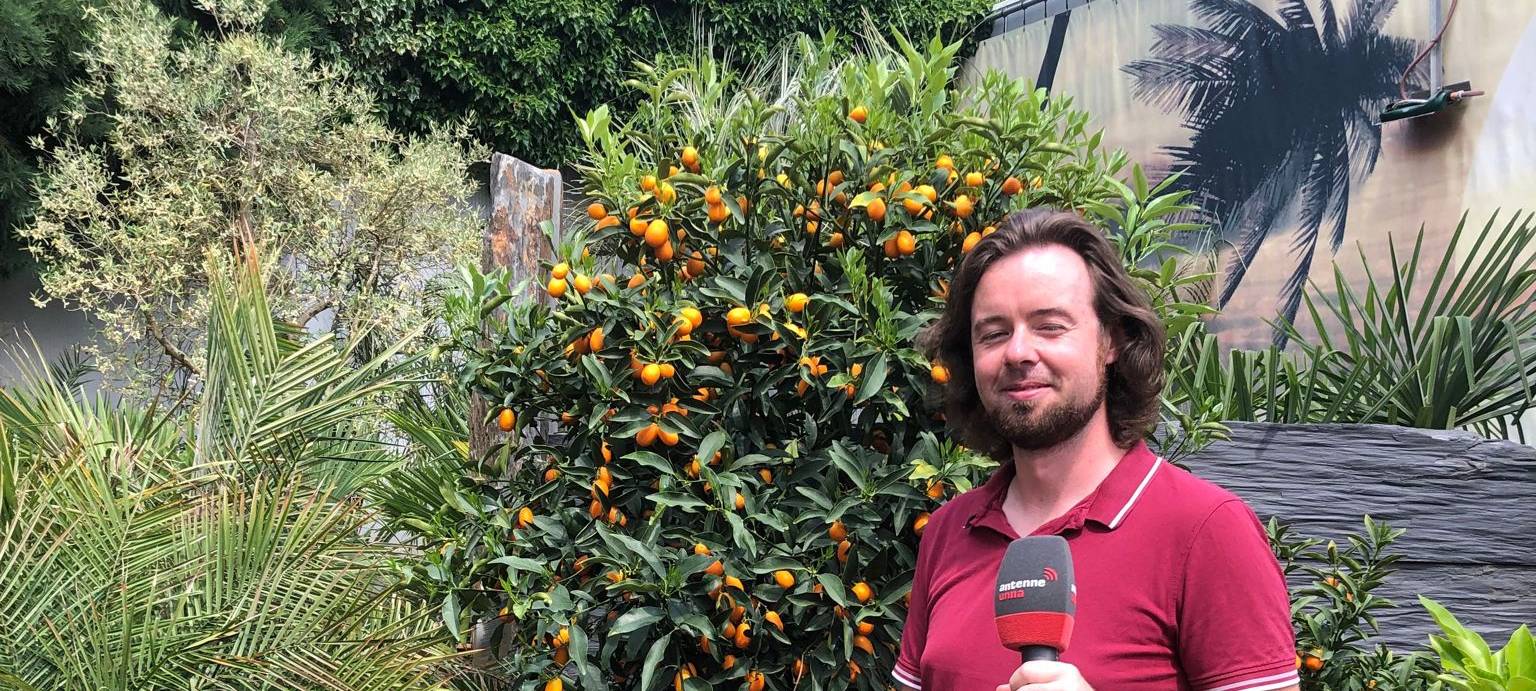 Der Antenne Unna-Garten: #12 Sommerflair