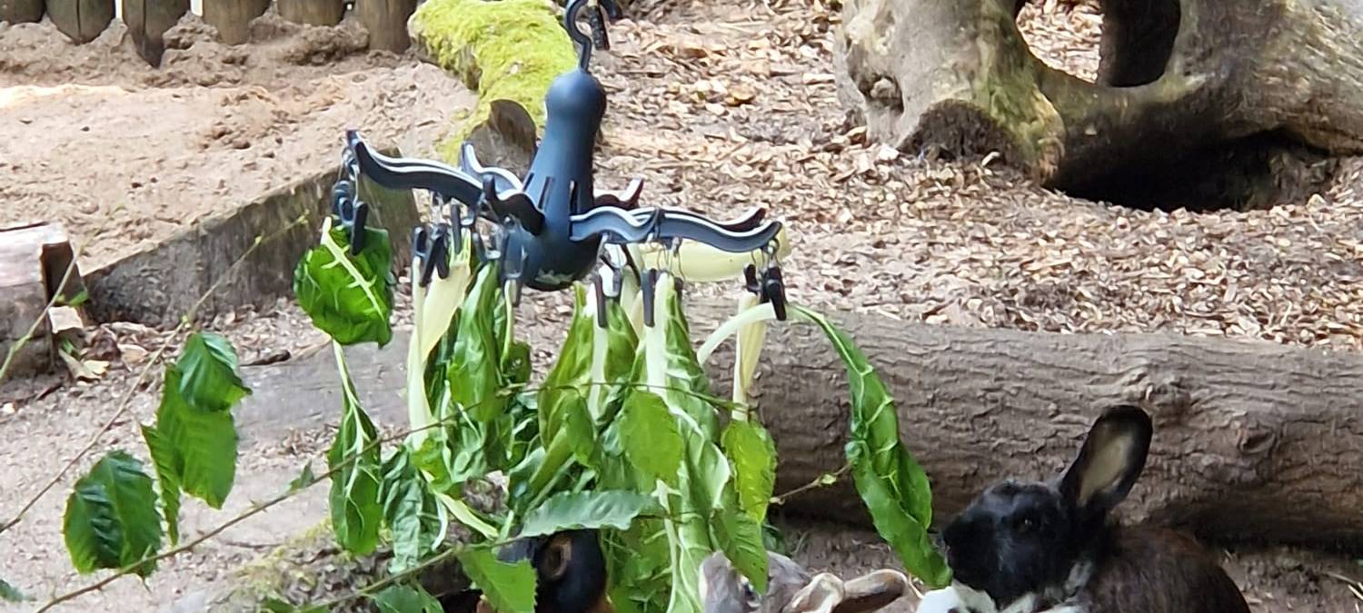 Mini-Tierpfleger im Tierpark in Hamm