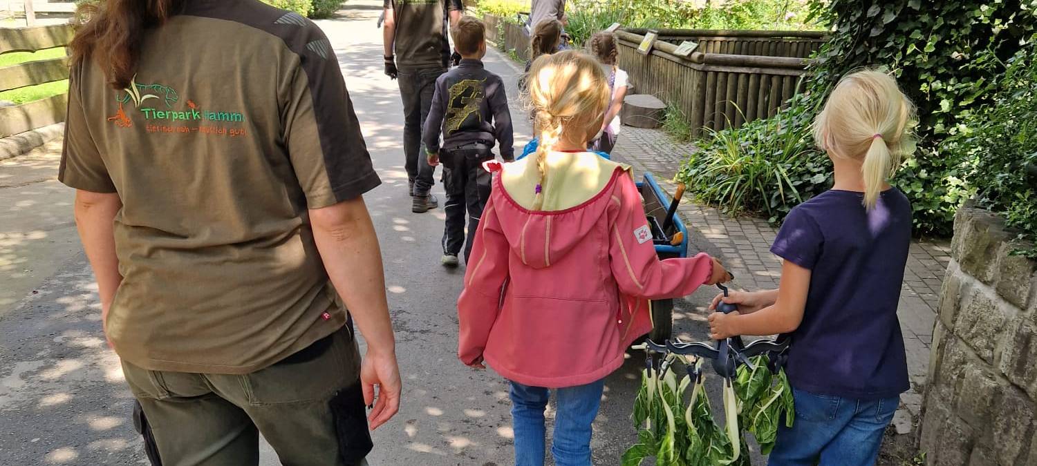 Mini-Tierpfleger im Tierpark in Hamm