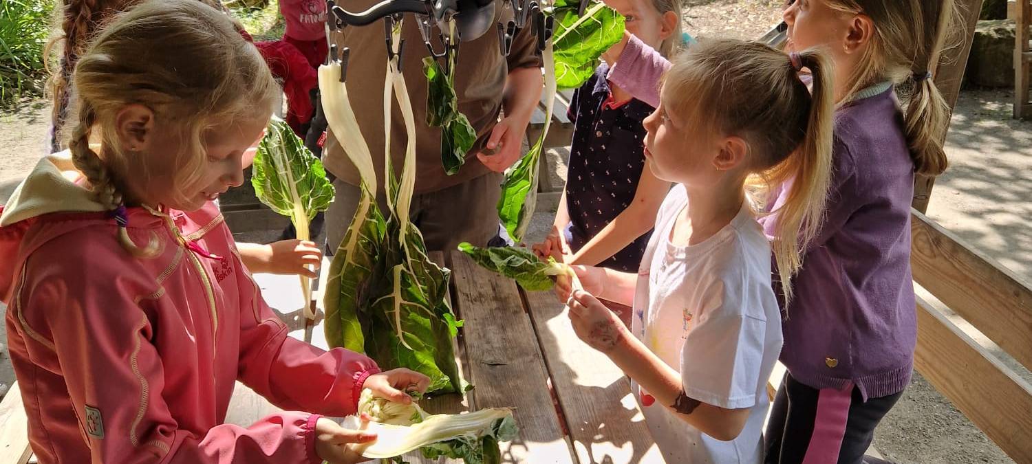 Mini-Tierpfleger im Tierpark in Hamm