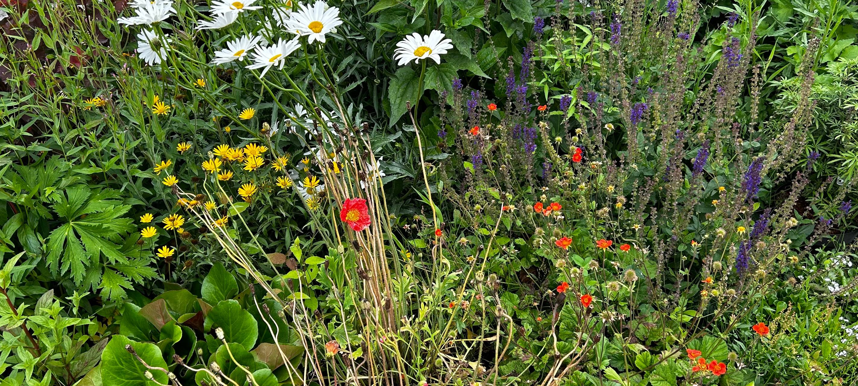Der Antenne Unna-Garten: #14 Grillen