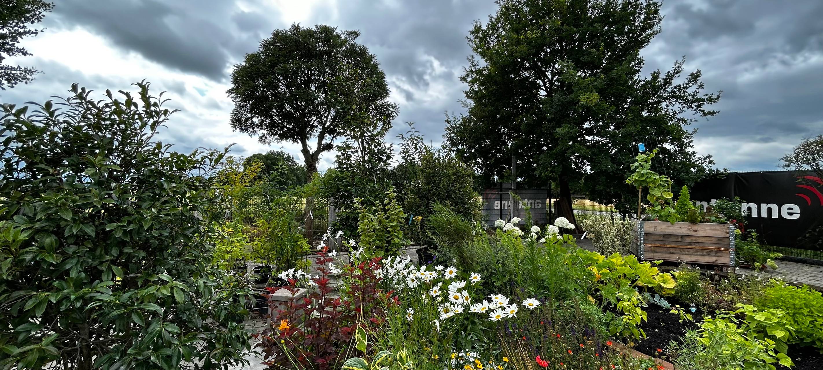 Der Antenne Unna-Garten: #14 Grillen