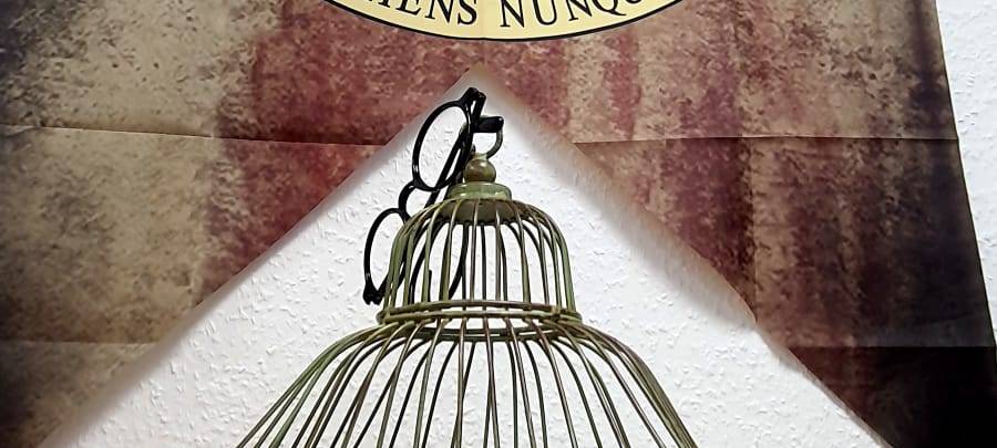 Harry Potter-Ferien in Holzwickede