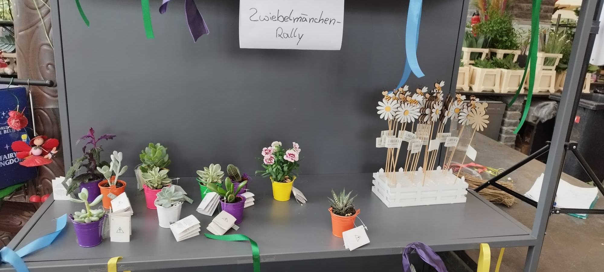 Der Antenne Unna-Garten: #15 Zwiebelmännchenrally