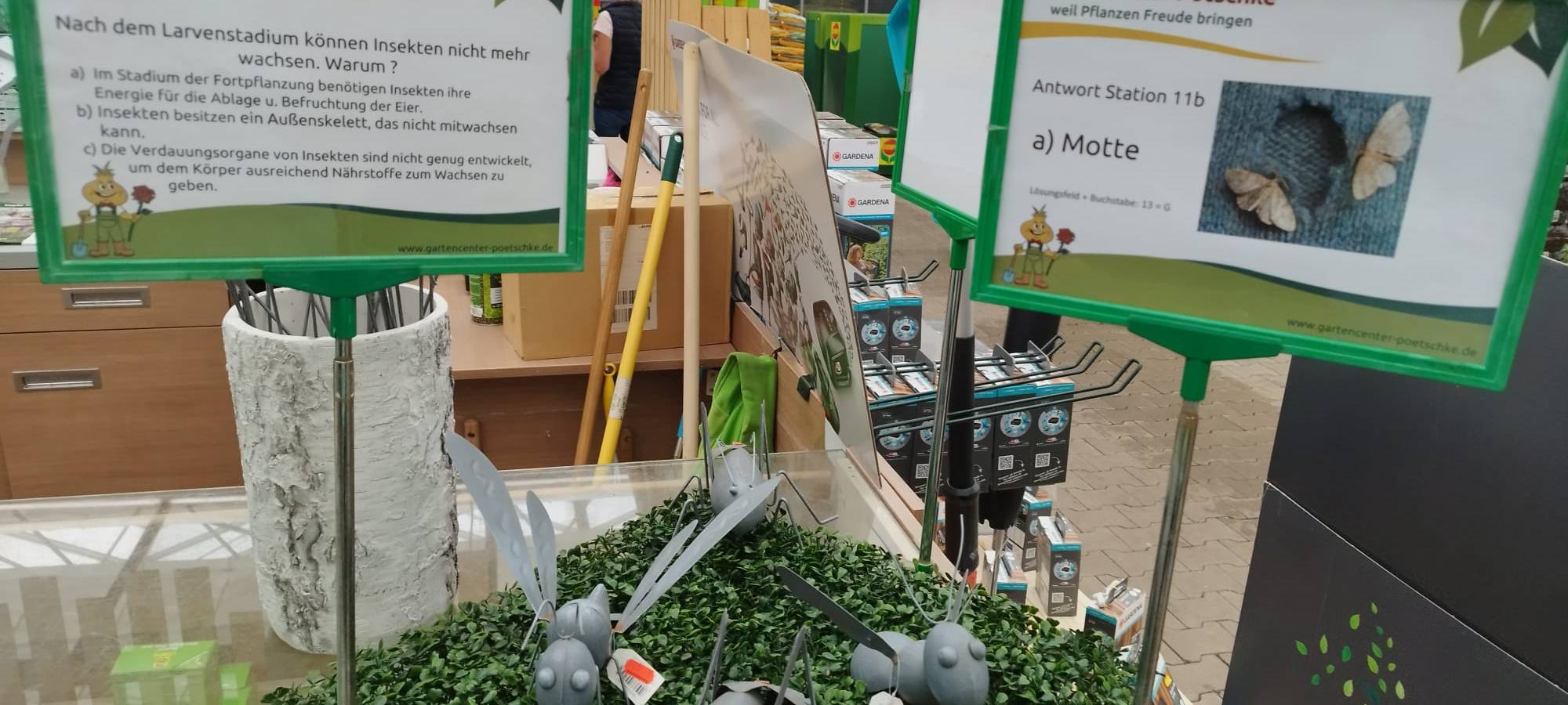 Der Antenne Unna-Garten: #15 Zwiebelmännchenrally