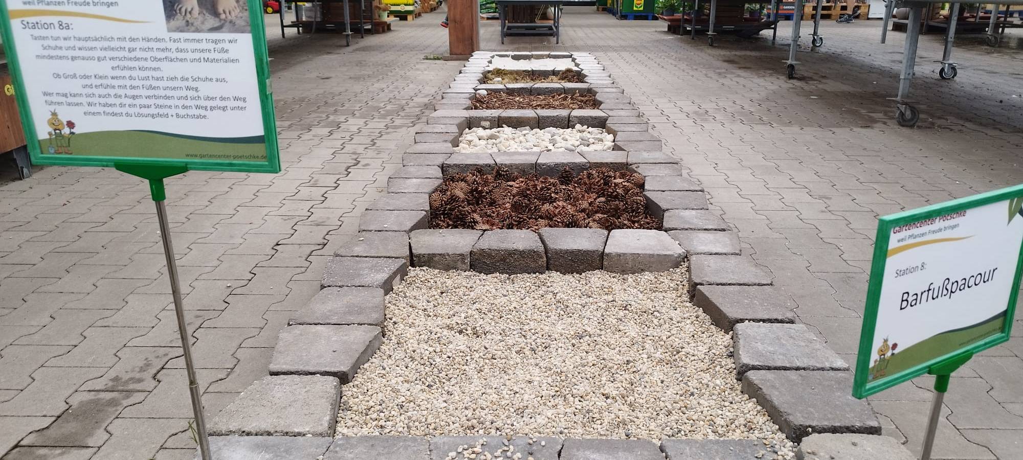 Der Antenne Unna-Garten: #15 Zwiebelmännchenrally