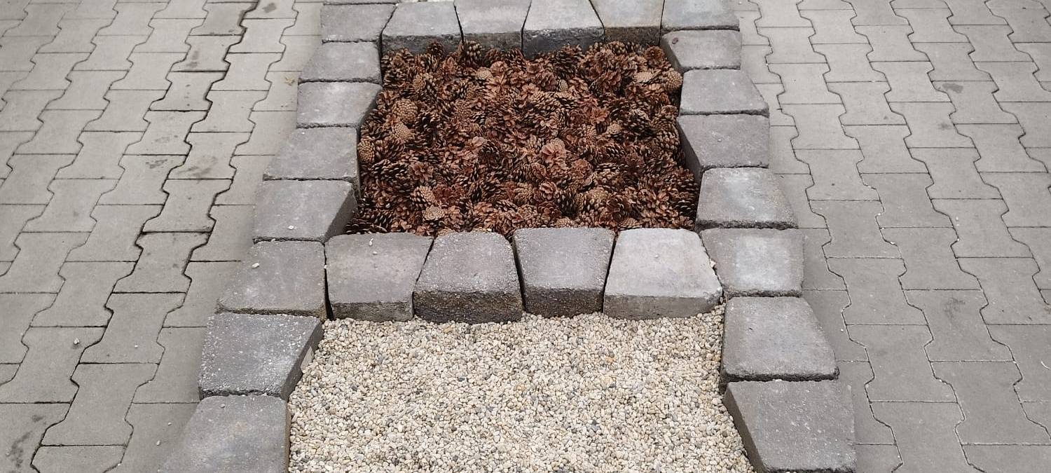 Der Antenne Unna-Garten: #15 Zwiebelmännchenrally