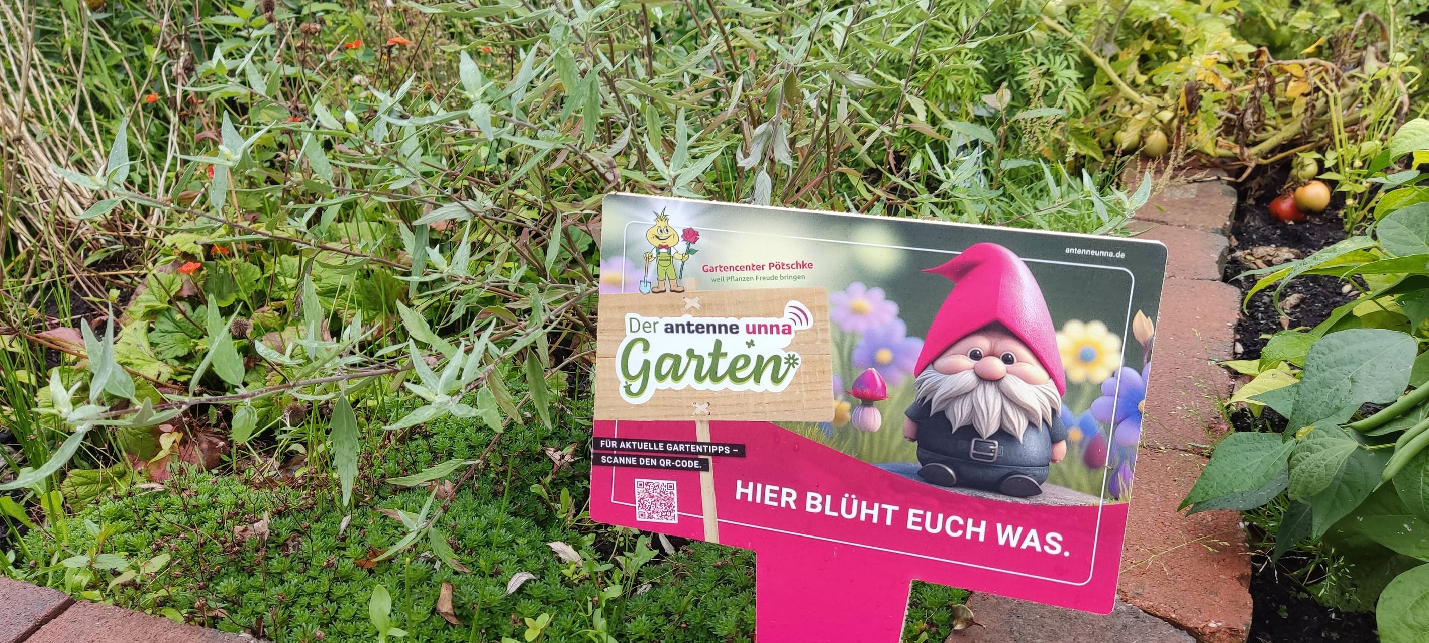 Der Antenne Unna-Garten: #16 Teich und Regen