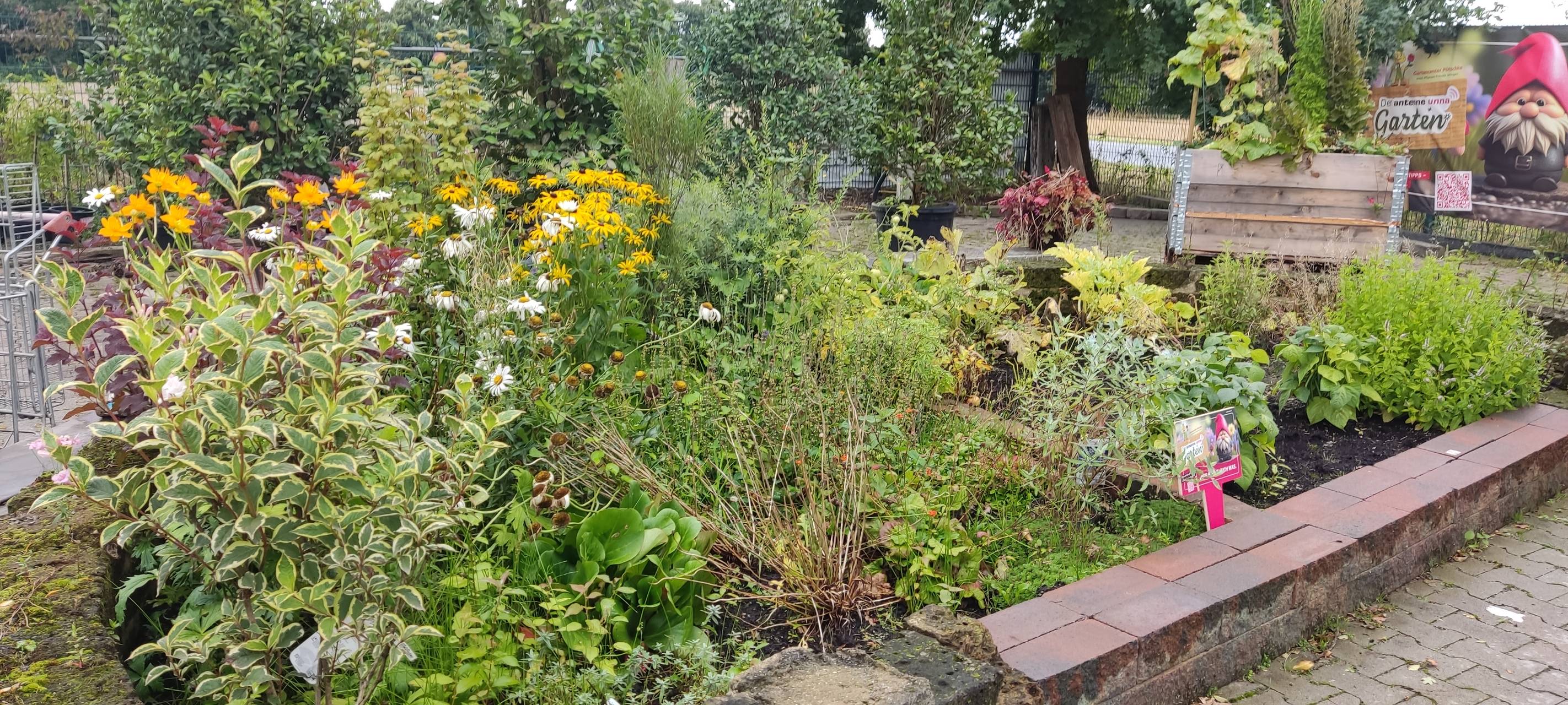 Der Antenne Unna-Garten: #16 Teich und Regen