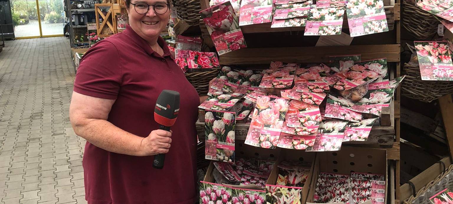 Der Antenne Unna-Garten: #19 Blumenzwiebeln