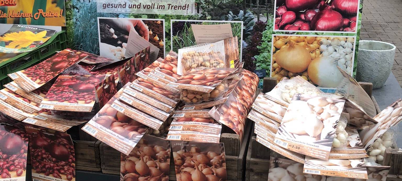 Der Antenne Unna-Garten: #19 Blumenzwiebeln