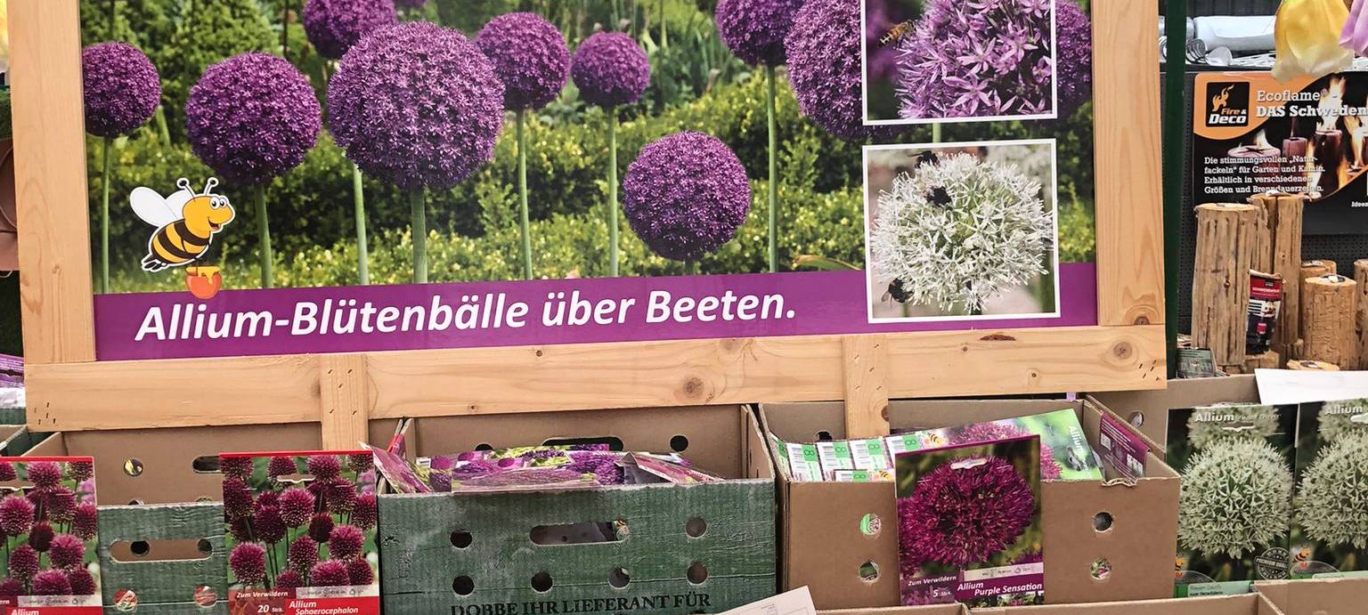 Der Antenne Unna-Garten: #19 Blumenzwiebeln