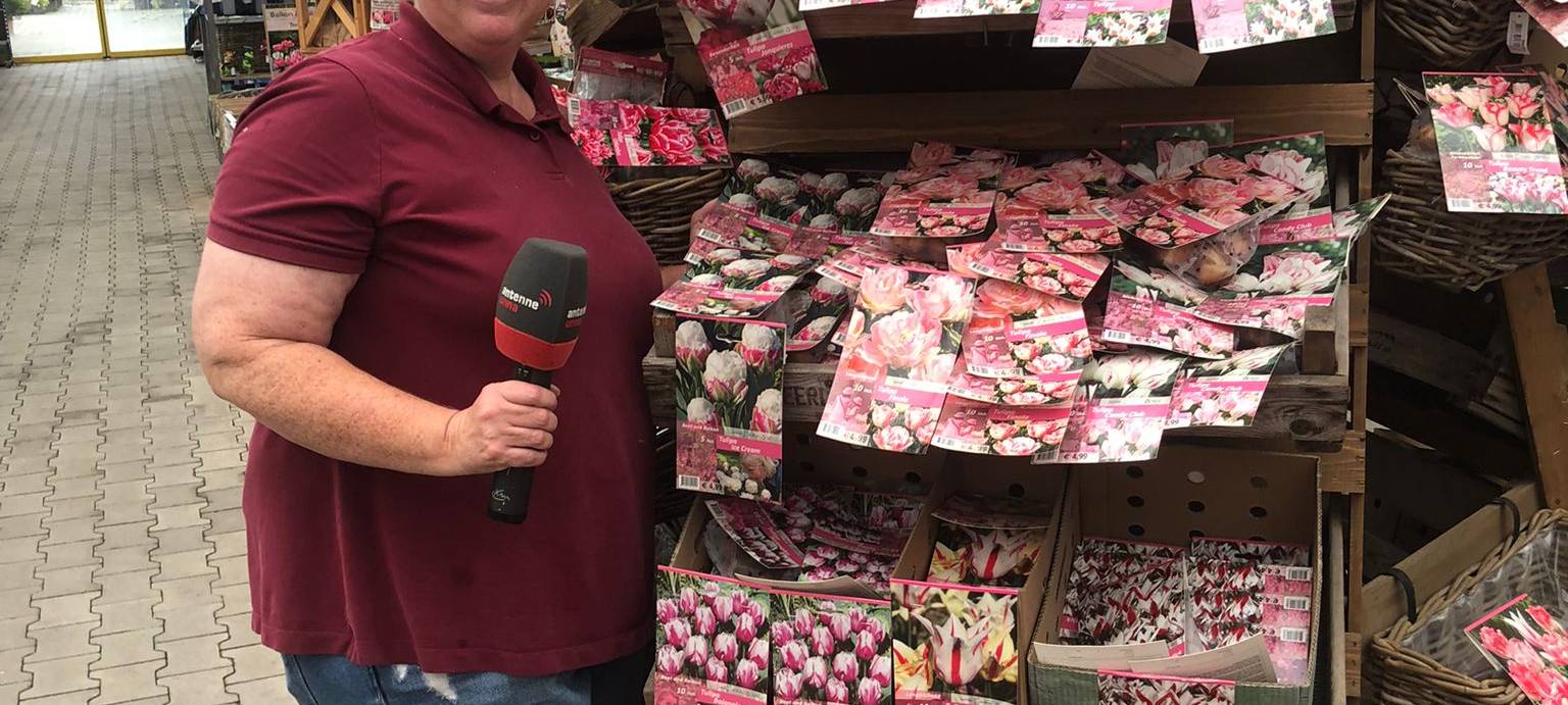 Der Antenne Unna-Garten: #19 Blumenzwiebeln