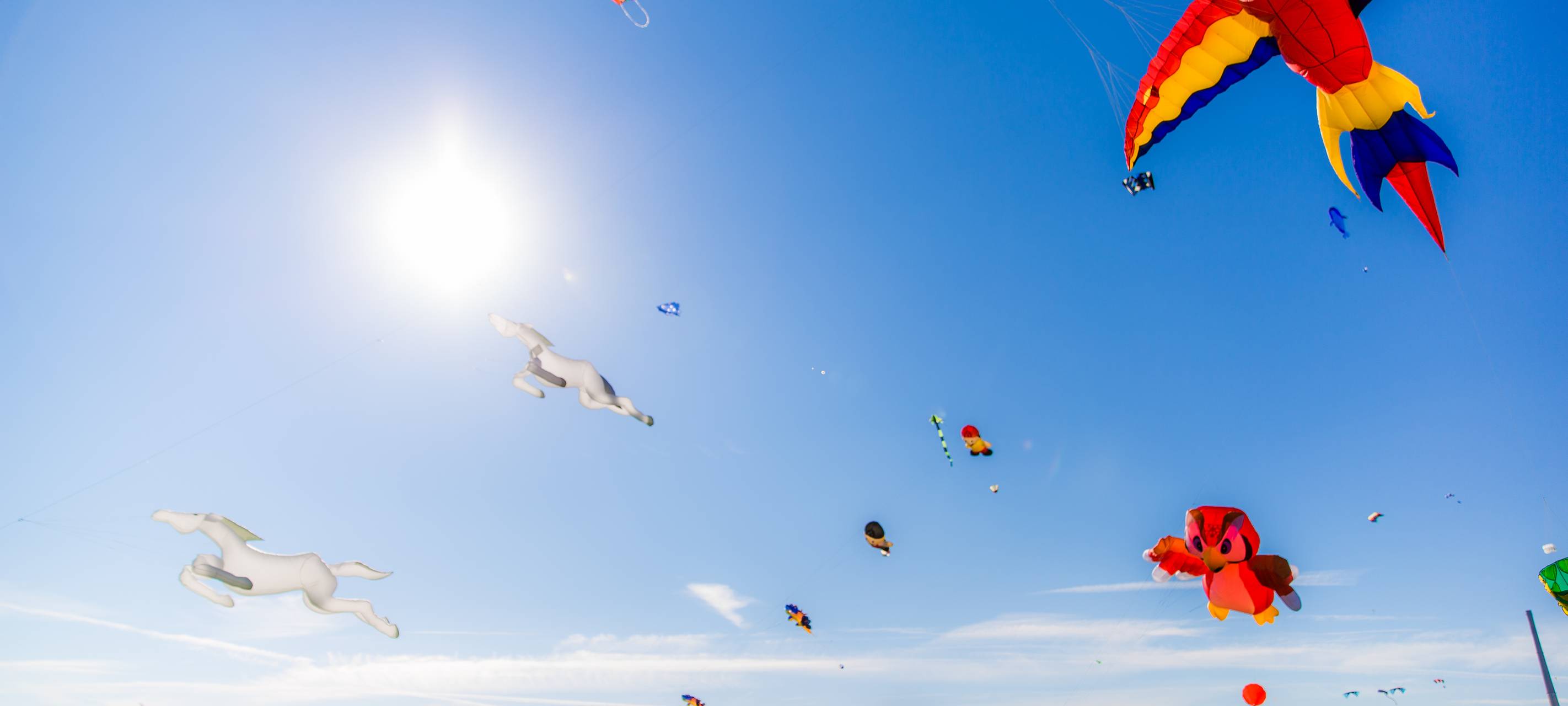 Lünen: Drachenfest startet