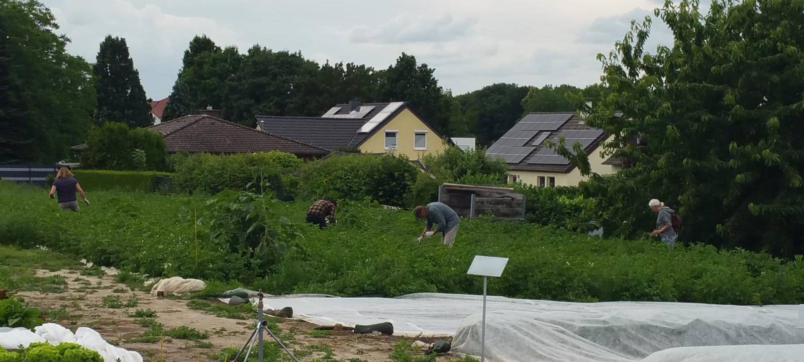 Solidarische Landwirtschaft in Unna