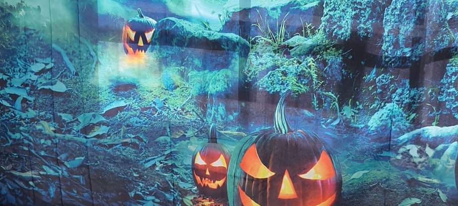 Kleines Spukhaus in Wickede lädt zum Gruseln ein