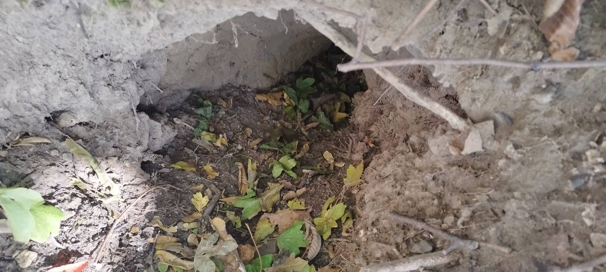 Bahnstrecke Unna-Fröndenberg wird saniert