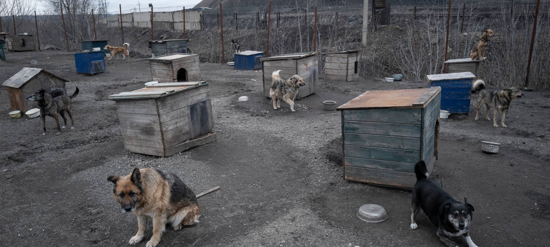 Ukrainehilfe: neue Spendenaktion in Unna