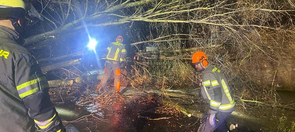 Werne: Bäume umgestürzt