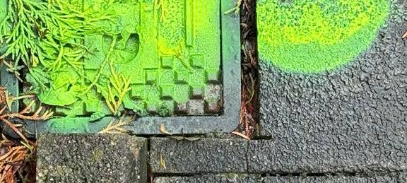 Hortensienweg in Unna: Dauerregen soll der Grund für krasse Risse in Wohnhäusern sein