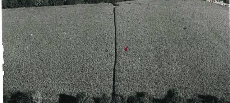 Cold Cases: Polizei ermittelt Mordfälle aus Unna und Bergkamen