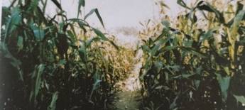 Cold Cases: Polizei ermittelt Mordfälle aus Unna und Bergkamen