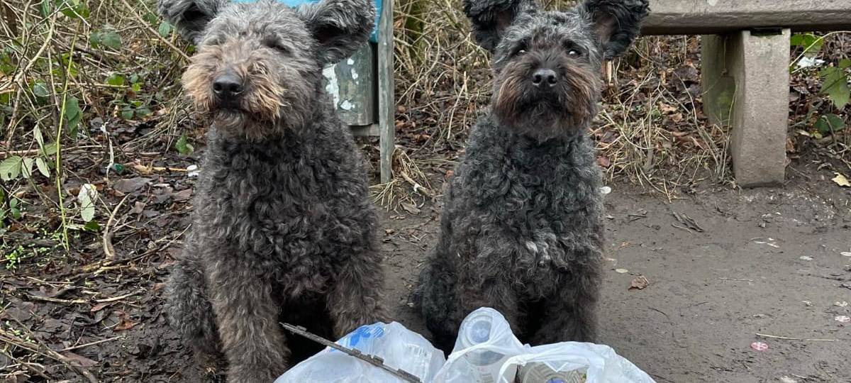 Dog Walkerin aus Werne sammelt Müll