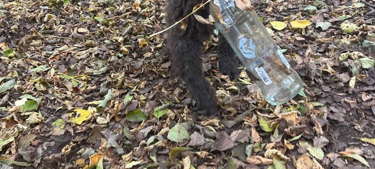 Dog Walkerin aus Werne sammelt Müll