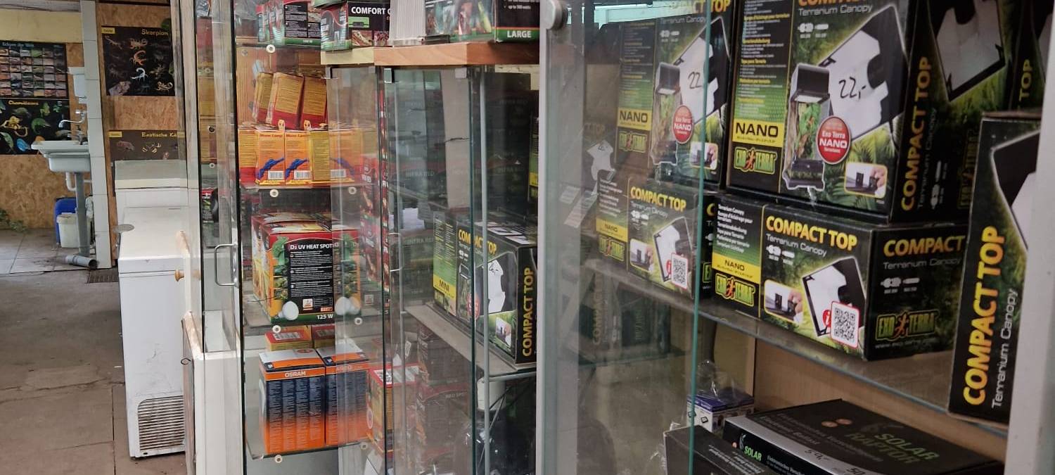 Tag des Haustiers: Firma Kerf aus Unna verkauft Vogelspinnen