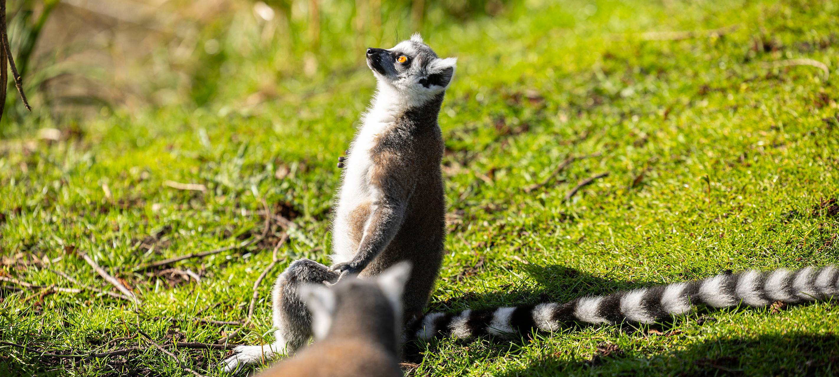 Tierpark Hamm Osterferien-Bilanz