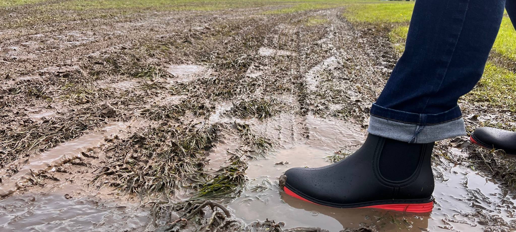 Abgesagt: Kamen Kite 2024 fällt aus