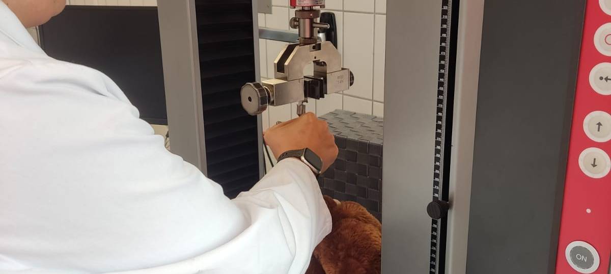 Zu Besuch in der KiK-Zentrale in Bönen