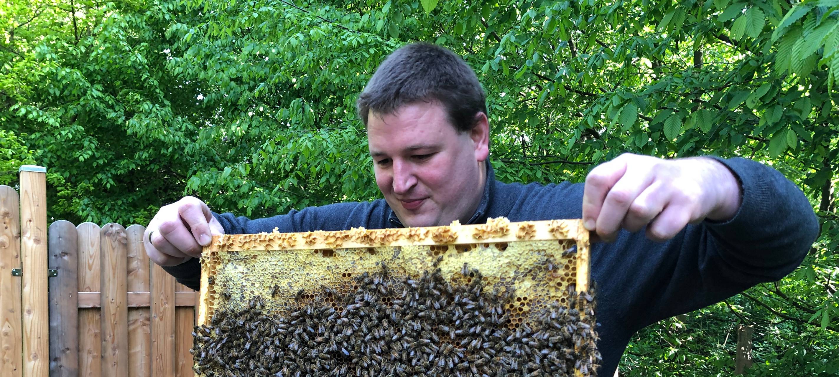 Bienen bei der EGV Unna