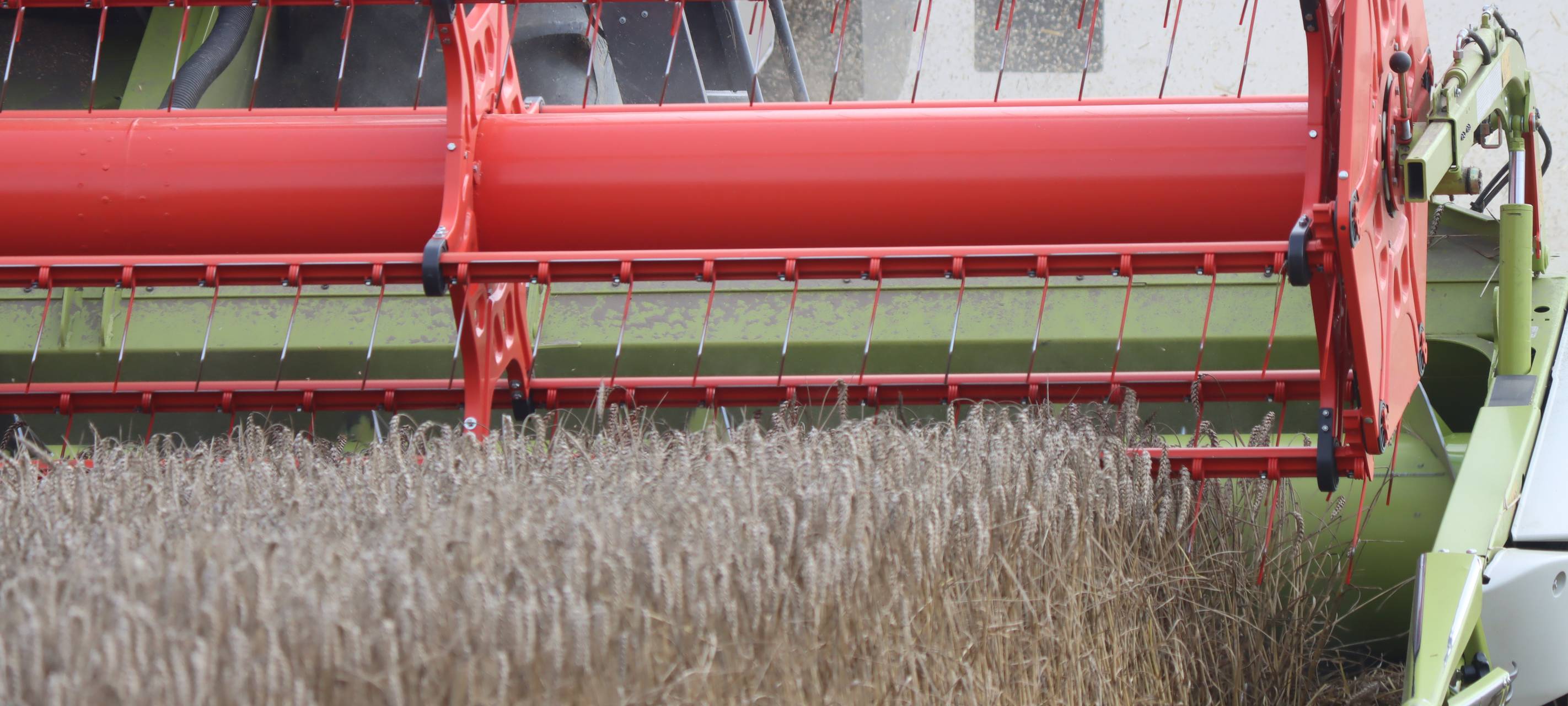 Kreis Unna: Ernte unterm Schnitt