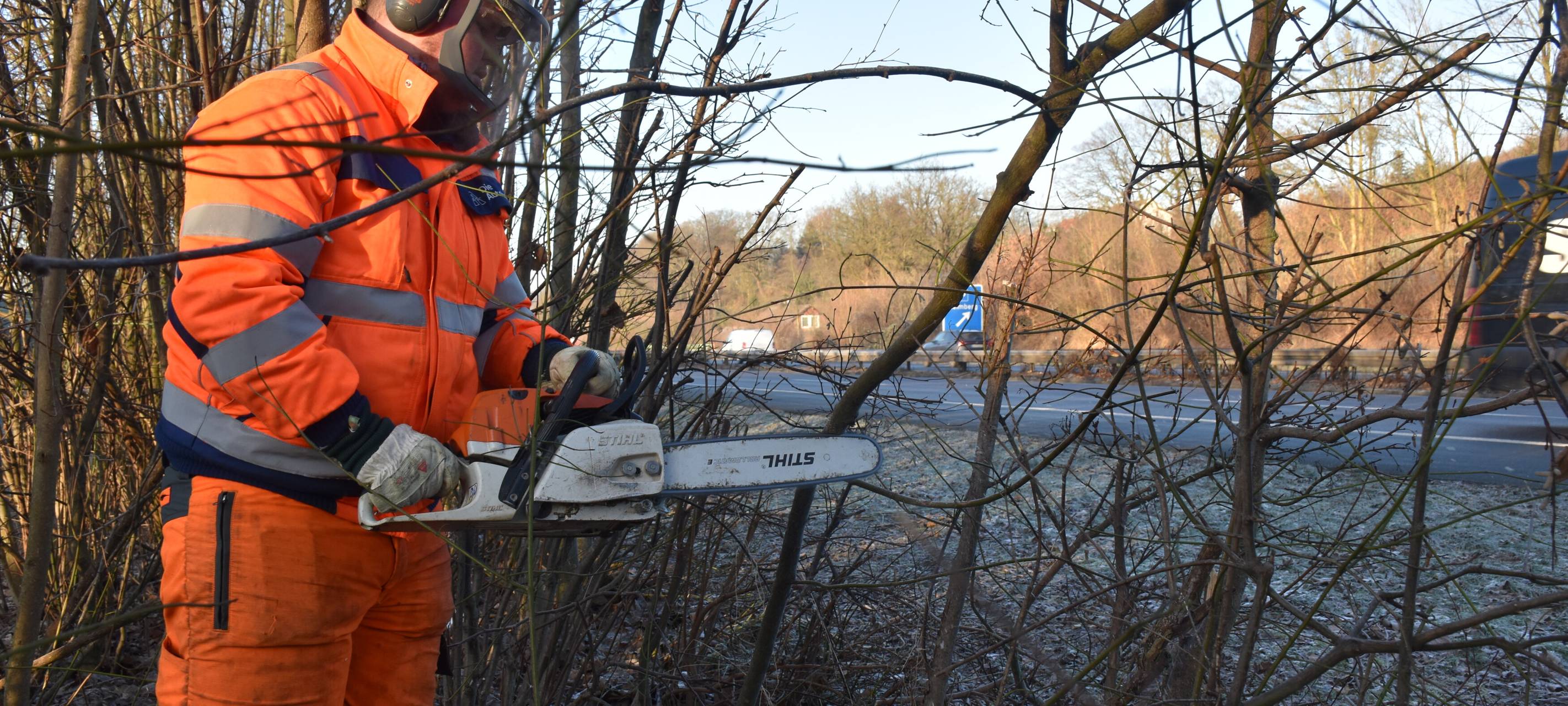 Grünschnittarbeiten in Bergkamen