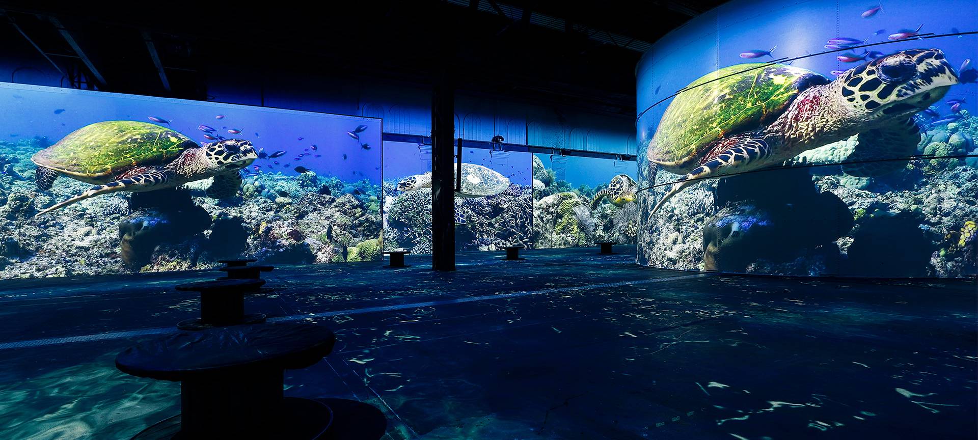 Neue Ausstellung bei Phoenix de Lumieres