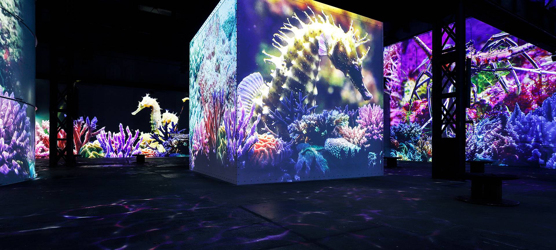 Neue Ausstellung bei Phoenix de Lumieres