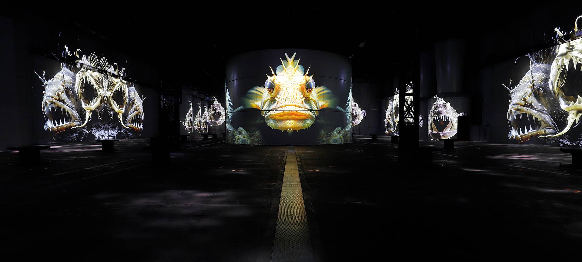 Neue Ausstellung bei Phoenix de Lumieres