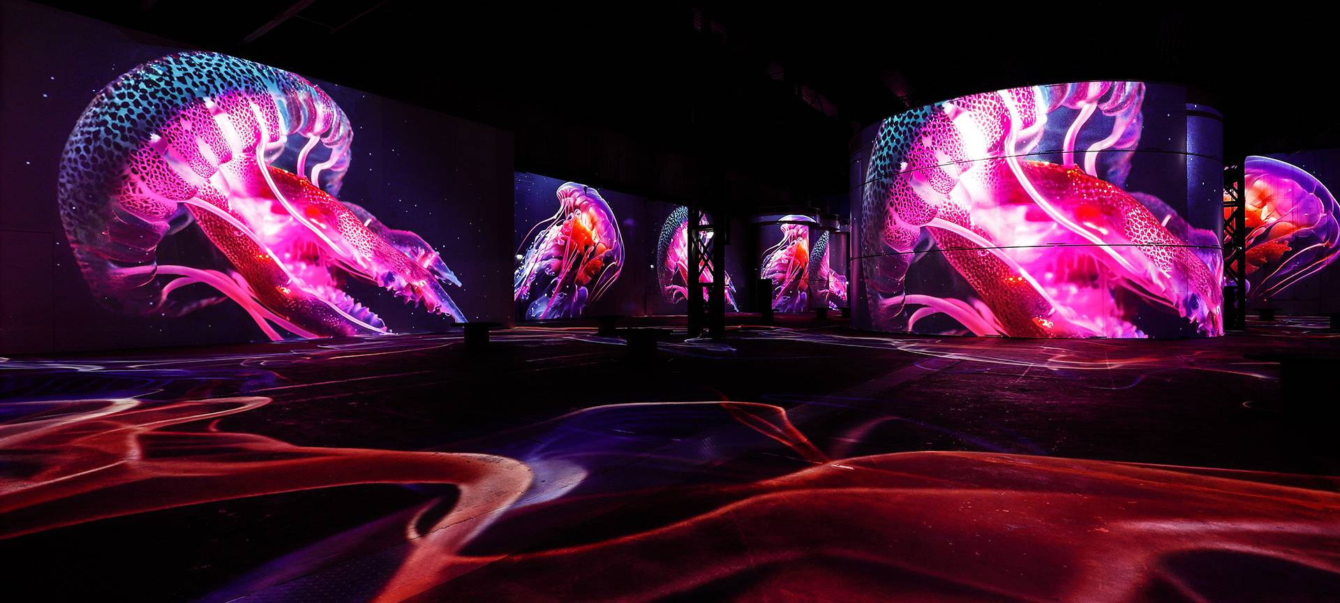 Neue Ausstellung bei Phoenix de Lumieres