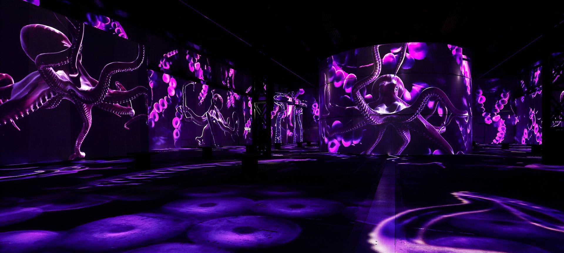 Neue Ausstellung bei Phoenix de Lumieres