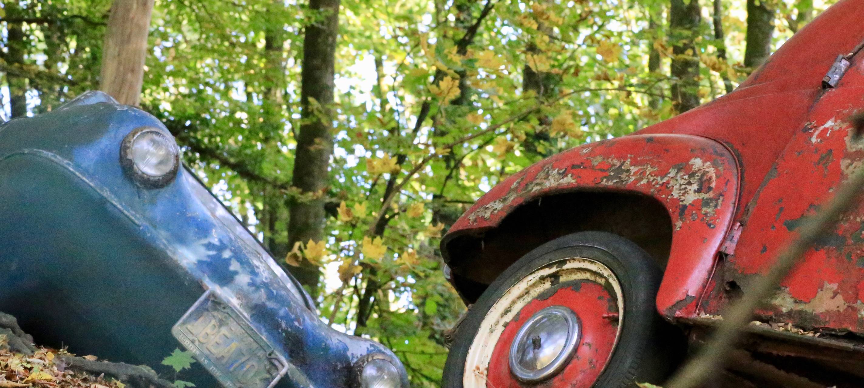 Alte Autos im Wald - der Autoskulpturenpark