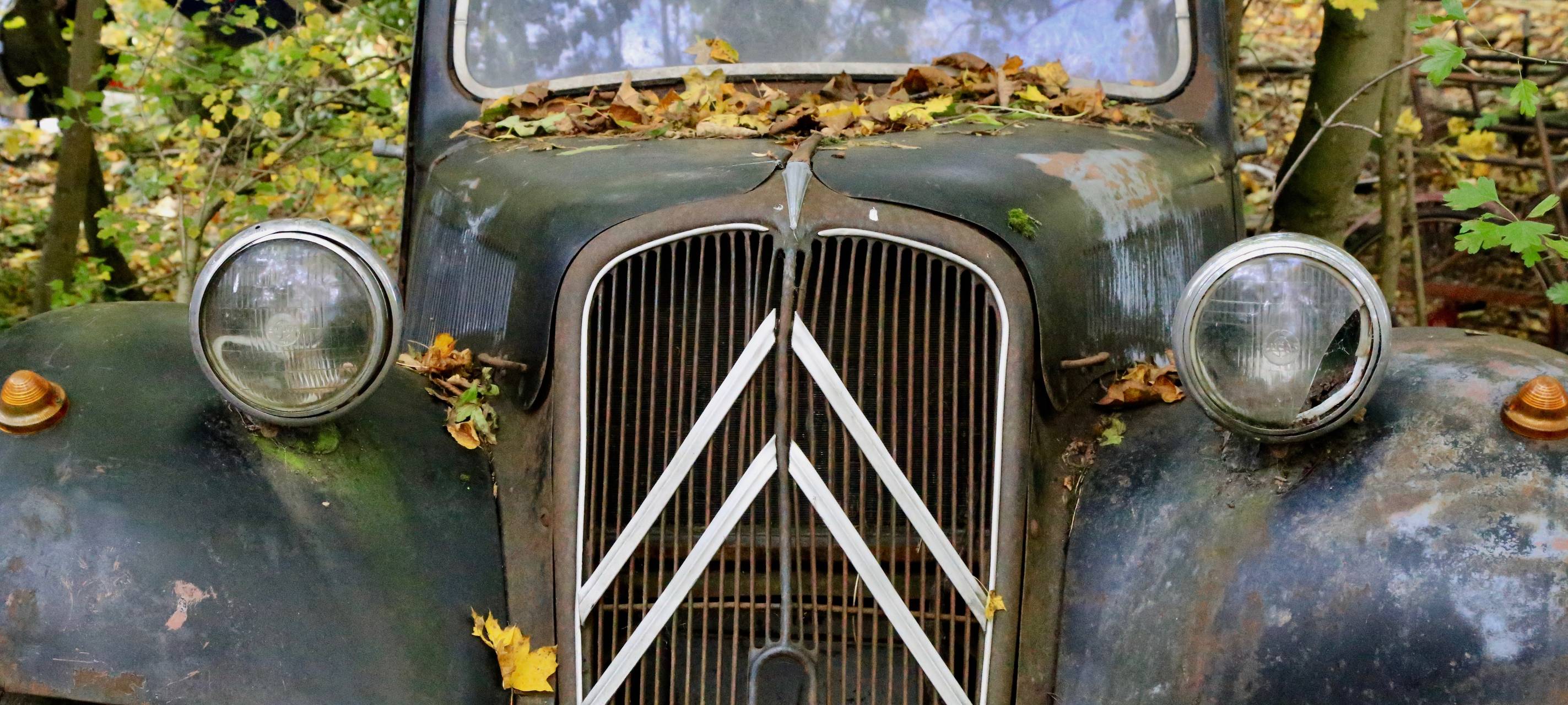 Alte Autos im Wald - der Autoskulpturenpark