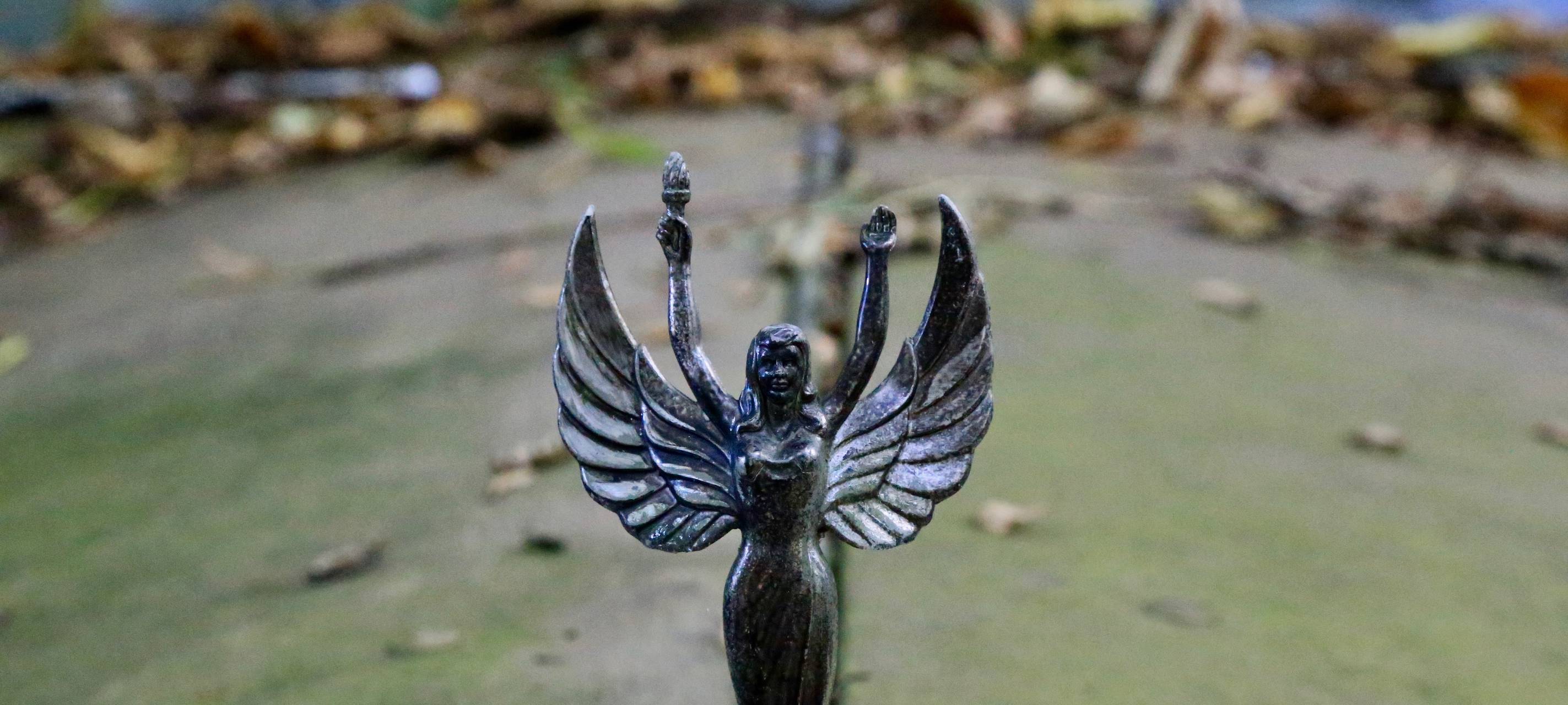 Alte Autos im Wald - der Autoskulpturenpark